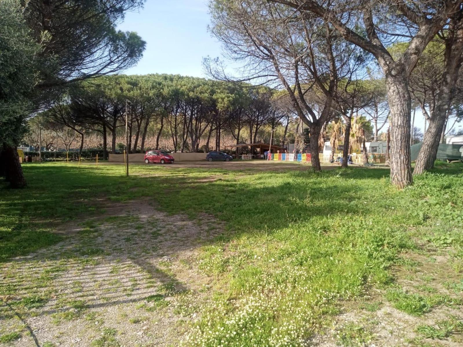 Camping Erika Campsite Paestum